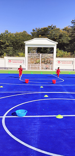Games & Sports